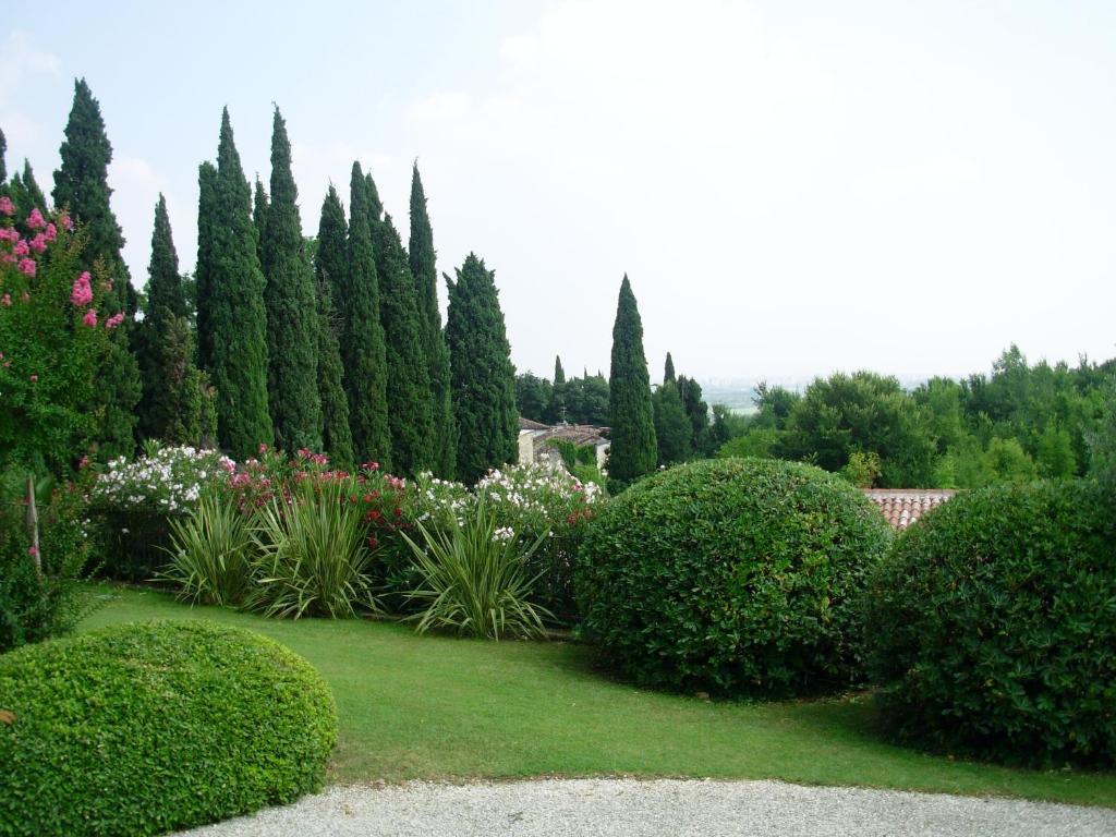 Villa Archi B&B サン・ピエトロ・イン・カリアーノ エクステリア 写真